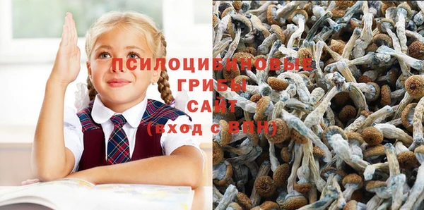 эйфоретик Алексеевка