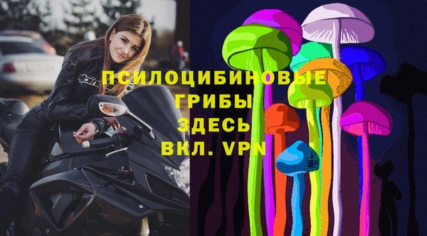 эйфоретик Алексеевка