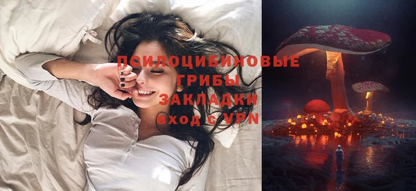эйфоретик Алексеевка