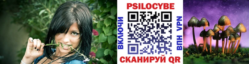 купить   Салехард  МЕГА маркетплейс  Псилоцибиновые грибы GOLDEN TEACHER 