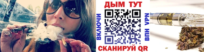 как найти наркотики  Салехард  Шишки марихуана семена 